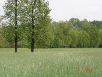 Najwa�niejsze miejsca w gminie