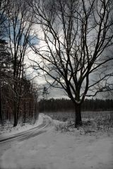 Zima i lato w Gminie Turek