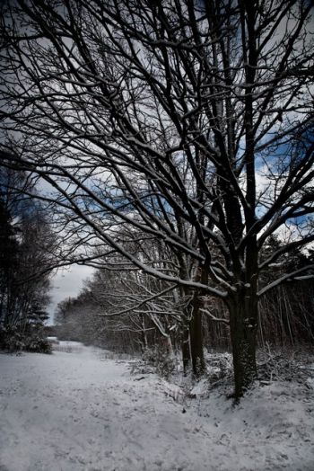 Zima i lato w Gminie Turek