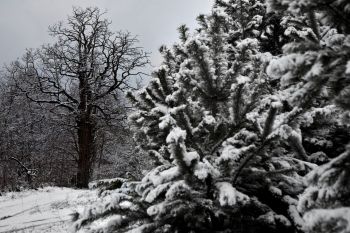 Zima i lato w Gminie Turek