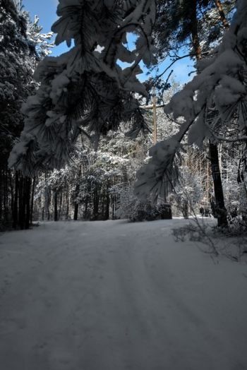 Zima i lato w Gminie Turek