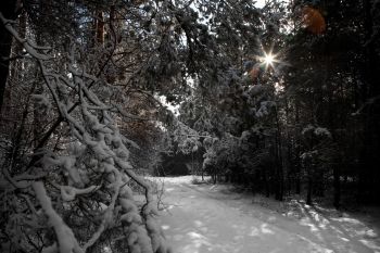 Zima i lato w Gminie Turek