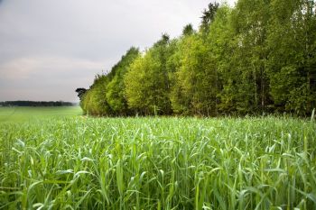 Zima i lato w Gminie Turek