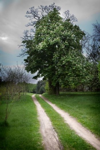 Zima i lato w Gminie Turek