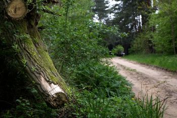 Zima i lato w Gminie Turek