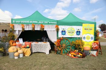 Do�ynki Gminno-Miejsko-Parafialne w Kowalach...