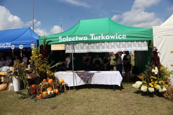 Do�ynki Gminno-Miejsko-Parafialne w Kowalach...