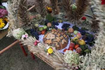 Do�ynki Gminno-Miejsko-Parafialne w Kowalach...