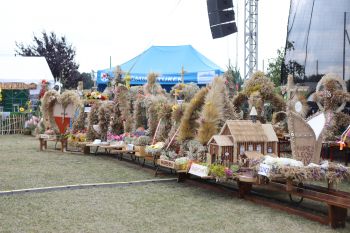 Do�ynki Gminno-Miejsko-Parafialne w Kowalach...