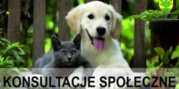 Konsultacje projektu programu opieki nad zwierzętami bezdomnymi w...